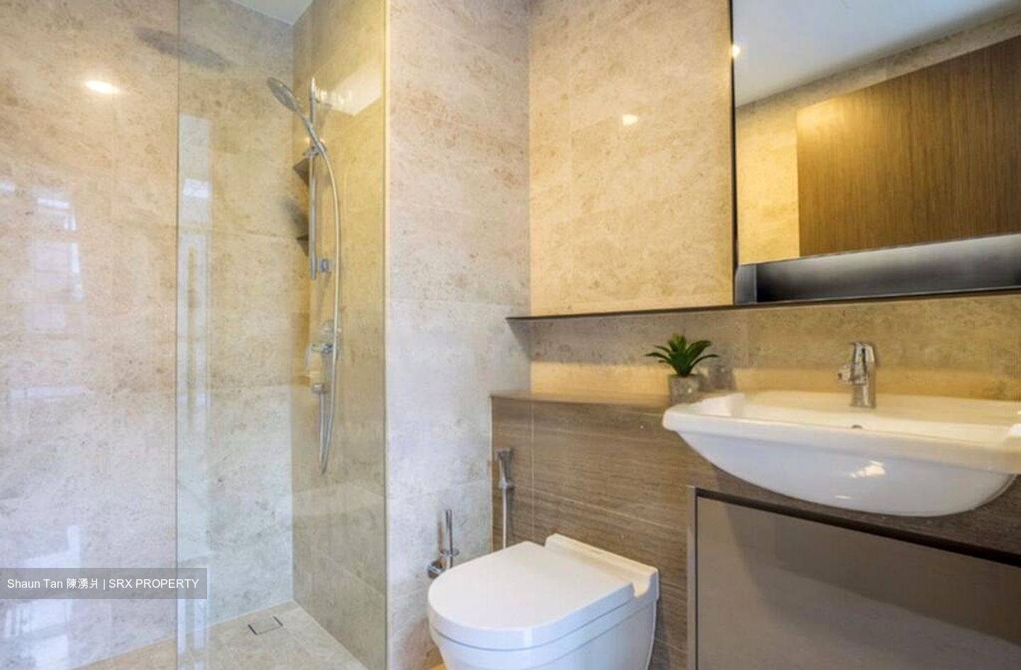 38 Jervois (D10), Apartment #458827981